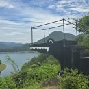 게으른 악어 이미지