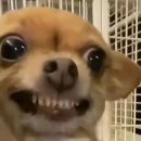 안녕하세요 이미지