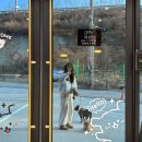 종합운동장 잔디그라운드 | 고양 애견동반 카페｜나만 알고 싶은 넓은 잔디 운동장, 커피앤그라운드