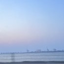 글램독 영흥도 이미지