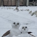 위크팜펜션 이미지