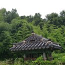 최승립 정려 Daum카페