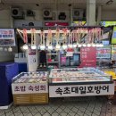 속초대일호방어