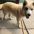 석삼말로 이미지