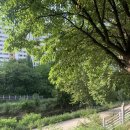 대판농장 | &lt;카타리나 블룸의 잃어버린 명예&gt; 독서모임 후기 (2)