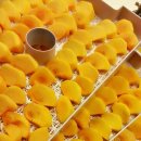 예현농장 이미지