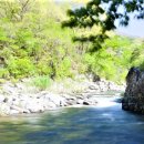 구천동1로 이미지