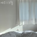 13월의 제주 이미지