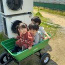 다올농장 | 울산 다올농원 표고버섯 따기 체험 27개월 5살 아이와 다녀온 후기🍄