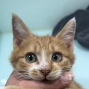 아이조아요양보호소 동탄점 이미지