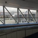 브릿징 | 820visa •820비자•파트너비자•브릿징B비자•파트너비자 여행