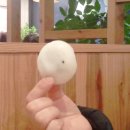 가람식품 이미지