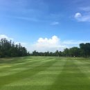 골드골프클럽 이미지