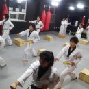 청주성인태권도 이미지