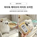 브이독 (V-dog) | [강아지 화식] 미세먼지에 걱정되는 강아지 기관지, 하이독 케어브이 라이트 브리틴으로 관리하기