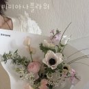 비비아나 이미지