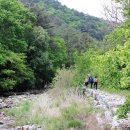 대티골계곡 이미지