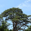 용하농장 이미지