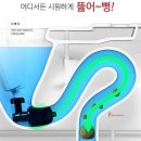 D11 이미지