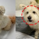 난동남성경로당 이미지