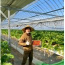 이성종 농장 이미지