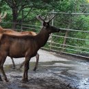 서당골 농장 이미지