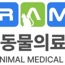 아람동물병원 이미지