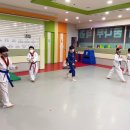 용인대 은성 태권도 이미지