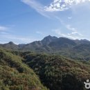 영산정기시장 이미지