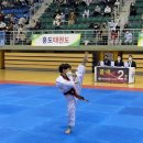 용인대 지노 태권 스쿨 이미지