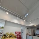 노라도라 이미지