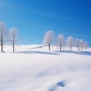 사사학교 이미지