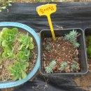 월산농장 이미지