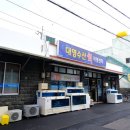 제주 평대리 맛집 평대성게국수, 대영수산회센타 다녀온 후기
