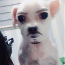 지웍스(G-WORKS) | 캠핑버너 및 차박용버너로도 쓸만한 바람에강한 리액터 미니버너 'MSR 리액터 스토브 2.5L 세트' 후기