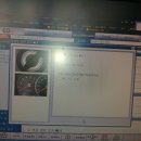 최민모터스 이미지