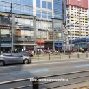 수인옵티마약국 이미지