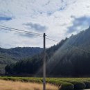 고창고인돌박물관 이미지