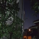 서림동-24 이미지