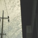 모쪼록 | 제주도 도민 추천 카페, 대정읍 와토커피 방문기