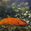 [ 경남일보 -최광임의 디카시 행진] 이유상/돌고 돌고 이미지