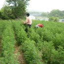 개동농장 이미지