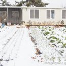 하얀농장 이미지