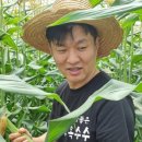 초당농장 이미지