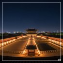 궁궐 달빛 동행 야간투어 | 창경궁, 덕수궁, 수원화성 등 한정 특가 57% 예약하기