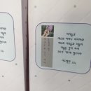 우리들의아름다운날들