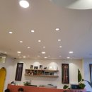 센텀애견샵 이미지