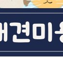 퍼피캣 강아지분양 인천루원시티점 이미지