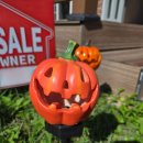 강내연꽃마을 이미지