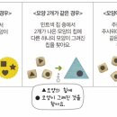 생각퍼즐플레이팩토